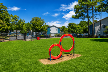 Dog park with agility equiptment